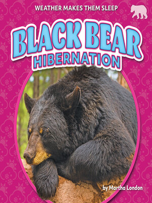 cover image of Black Bear Hibernation